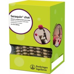 Seraquin Chat (Nouvelle...