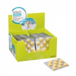 Seraquin Oméga Chiens...