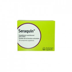 Seraquin Chien