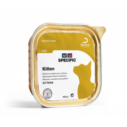 Specific FPW kitten   7...