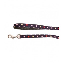 Laisse Fashion pour chien