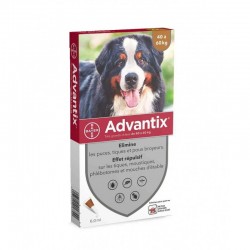 Advantix Très grand chien...