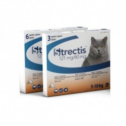 Strectis chat de 5 à 10 kg