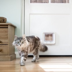 SureFlap chatière électronique pour chat