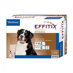 Effitix Très grands chiens...
