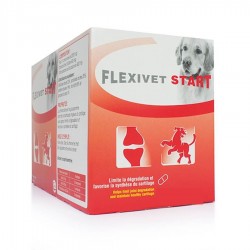 Flexivet Start   20...