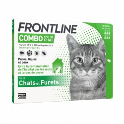 Frontline Combo chat - JungleVet