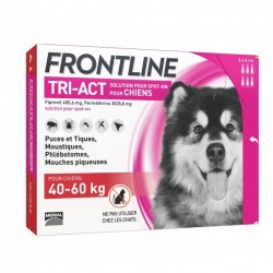 Frontline Tri Act chien...