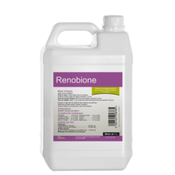 Renobione