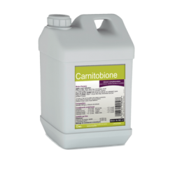 Carnitobione   Bidon de 500 ml
