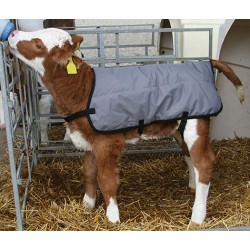 Manteau polaire pour veau...