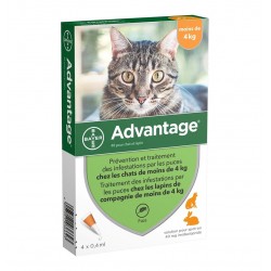Advantage 40 Chats de...