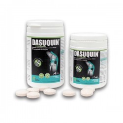 Dasuquin petits chiens -...