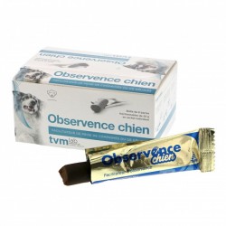 Observence chien - 6 barres...