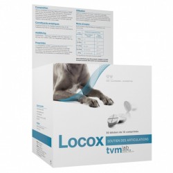 Locox TVM