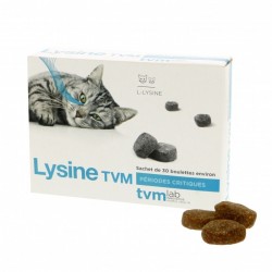 Lysine Tvm   30 boulettes