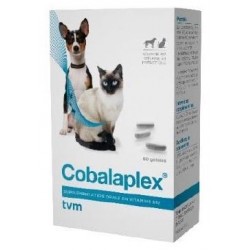 Cobalaplex   Boite de 60...
