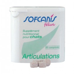 Sofcanis félin...