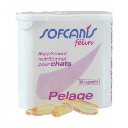 Sofcanis félin pelage -...