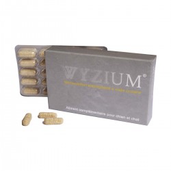 Wyzium