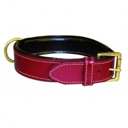 Collier en cuir rouge haute...