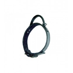 Collier pour molosse Bobby