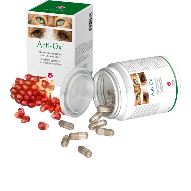 Anti Ox Miloa - Boite de 30 gélules Anti Ox Miloa - Boite de 30 gélules