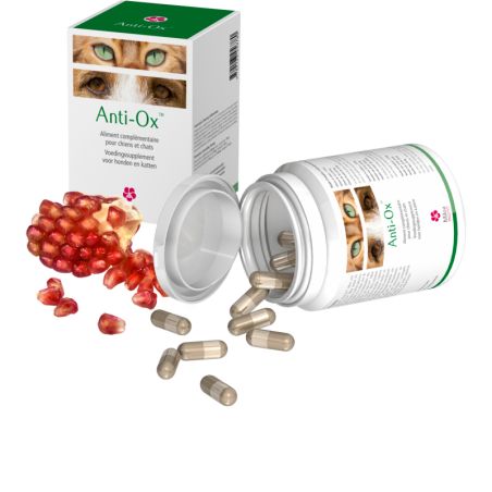 Anti Ox Miloa - Boite de 30 gélules Anti Ox Miloa - Boite de 30 gélules