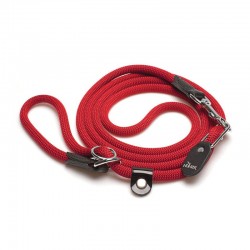 Laisse - Collier Retriever...