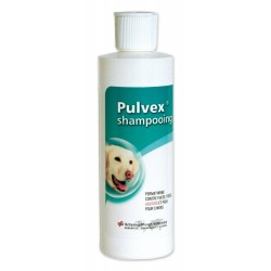 Pulvex Shampooing   Flacon...