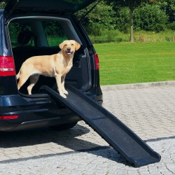 Rampe d'accès pliable pour...