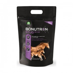 Bonutron Stud G1 L6 -...