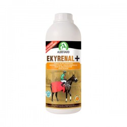 Audevard Ekyrenal +