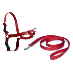 Harnais Easy Walk pour chiens de SafePet rouge   Taille M