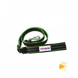 Laisse Pop Noir / Vert