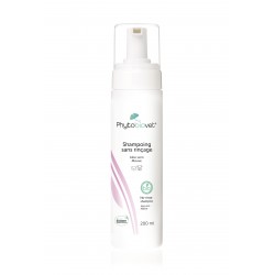 Shampoing Sec Phytobiovet -...