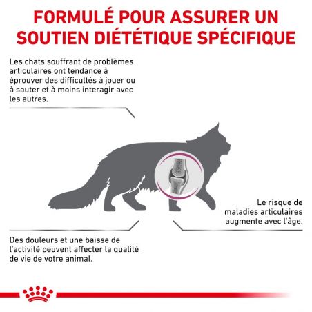 Royal Canin Veterinary Diet Cat Mobility - Sac de 2 kg Royal Canin Veterinary Diet Cat Mobility - Sac de 2 kg