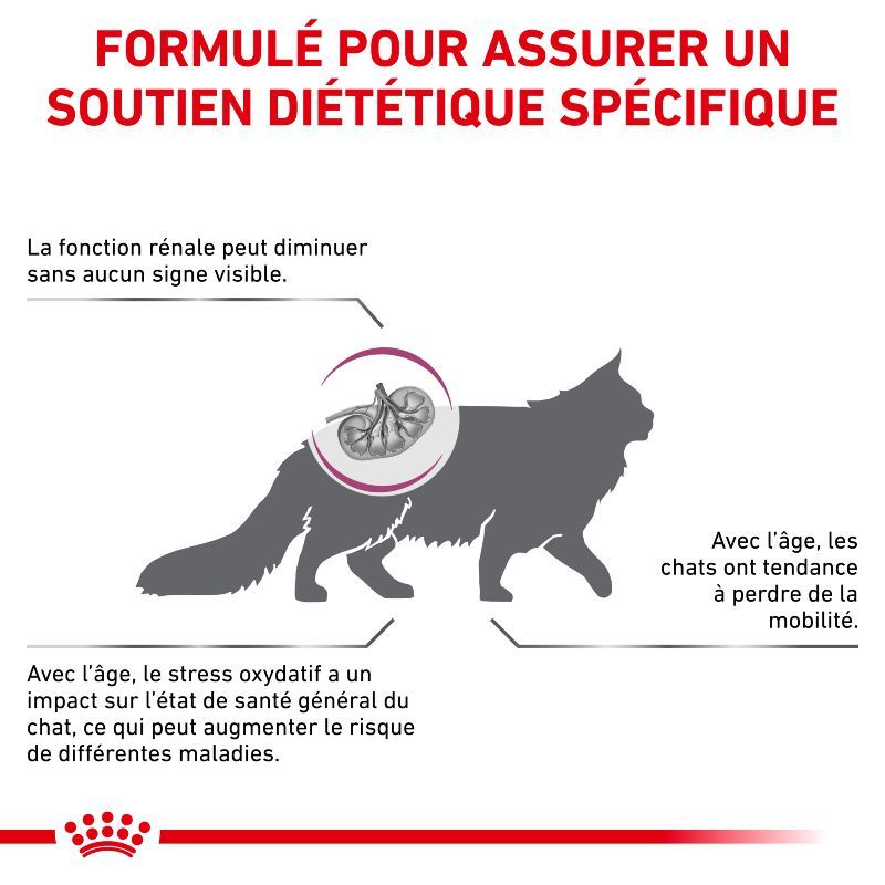 Royal Canin Veterinary Diet Cat Early Renal Royal Canin Veterinary Diet Cat Early Renal