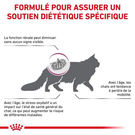 Royal Canin Veterinary Diet Cat Early Renal Royal Canin Veterinary Diet Cat Early Renal