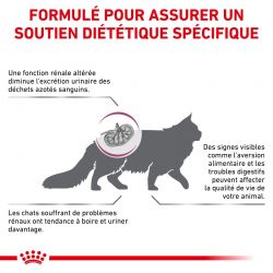 Royal Canin Veterinary Diet Cat Renal