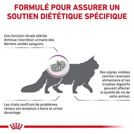 Royal Canin Veterinary Diet Cat Renal Royal Canin Veterinary Diet Cat Renal