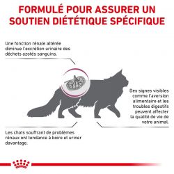 Royal Canin Veterinary Diet Cat Renal Special