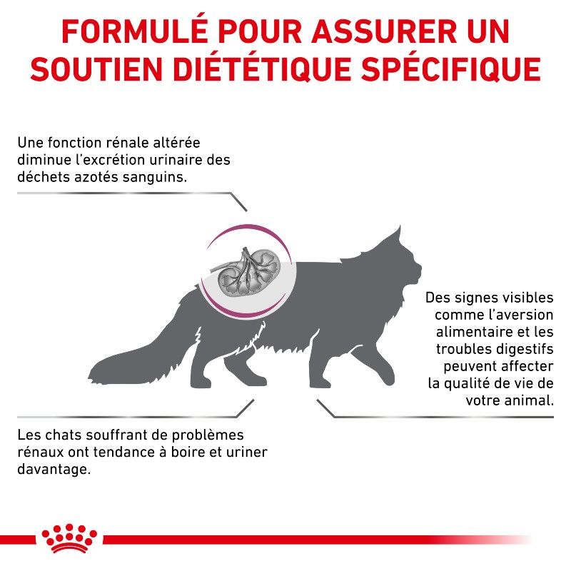 Royal Canin Veterinary Diet Cat Renal Special Royal Canin Veterinary Diet Cat Renal Special