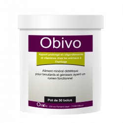 Obione Obivo   Pot de 50 bolus