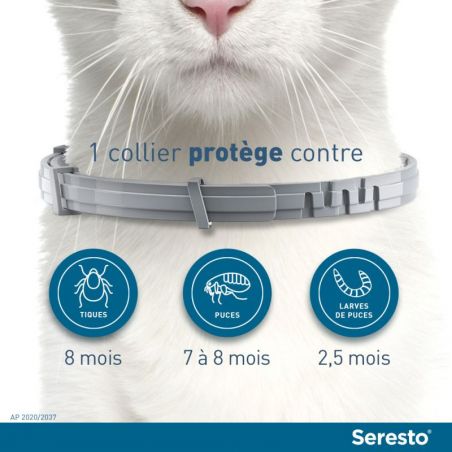 protection collier Seresto pour chats