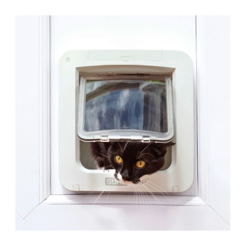 chat et Chatiere Sureflap Connect chat et Chatiere Sureflap Connect