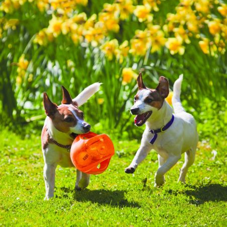 Kong Jumbler Ball pour chien Kong Jumbler Ball pour chien