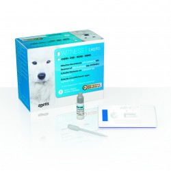 Witness Lepto pour chiens