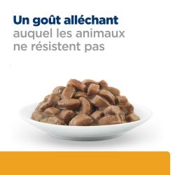 Hill's Prescription Diet Feline C/D Multicare au saumon 12 x 85 g