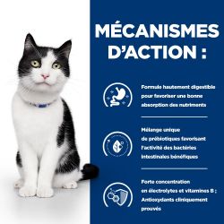 Hill's Prescription Diet Feline i/d Activ Biome+ - 24 boîtes de 156g
